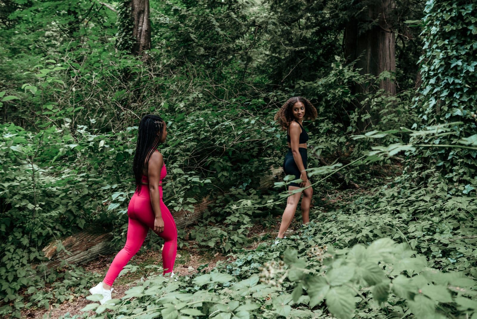 Two friends hiking and chatting on a wooded forest trail
